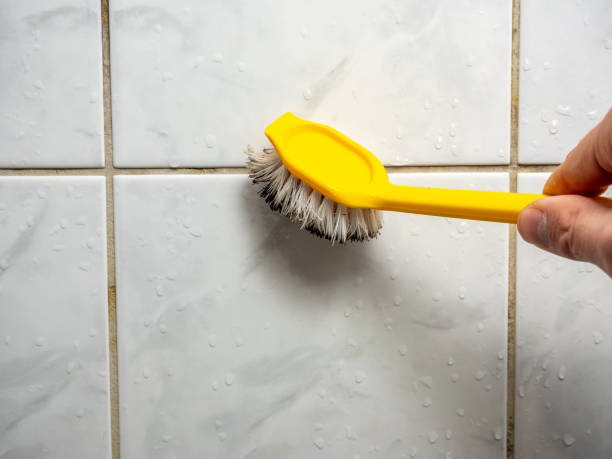 Best Mold Testing  in Carencro, LA
