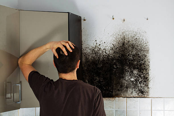 Best Mold Cleaning Services  in Carencro, LA